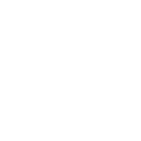 ss123 icon
