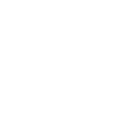 ss123 icon