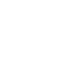 ss123 icon