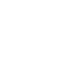ss123 icon